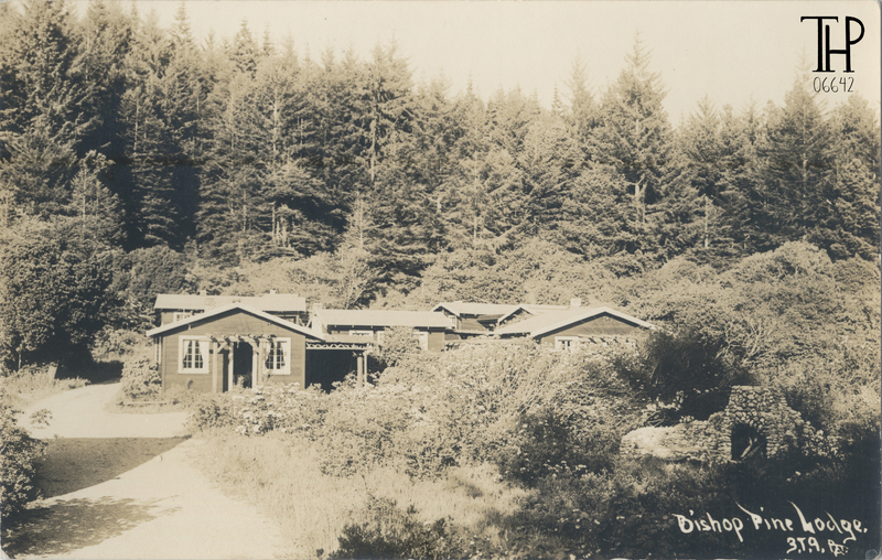 Bishop Pine Lodge - Patterson