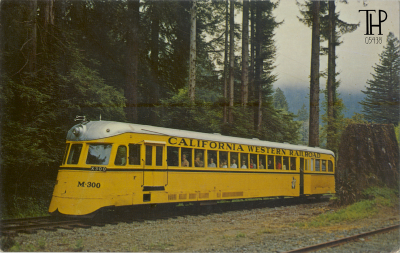 THE SKUNK TRAIN - Eastman's Studio