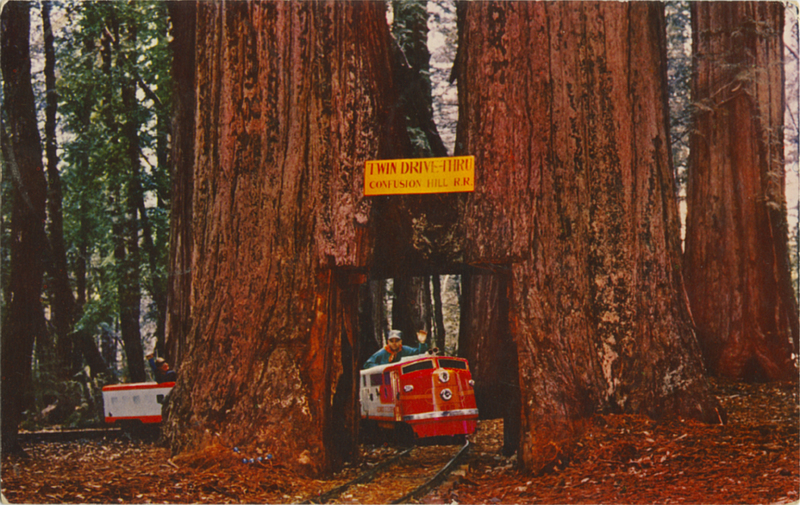'TWIN DRIVE-THRU TREE'' - Train at Confusion Hill - E.F. Clements - Mike Roberts