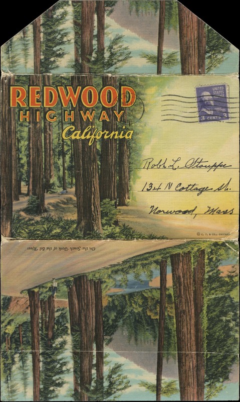 REDWOOD HIGHWAY California - Fold-Out - Curt Teich