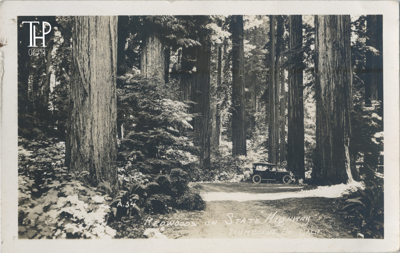 early auto on state highway thru Redwoods in Humboldt County