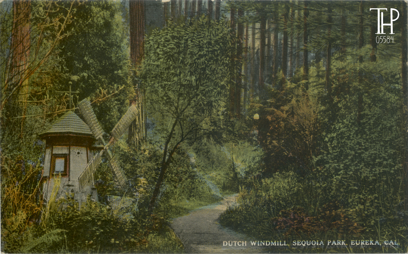 Windmill at Sequoia Park