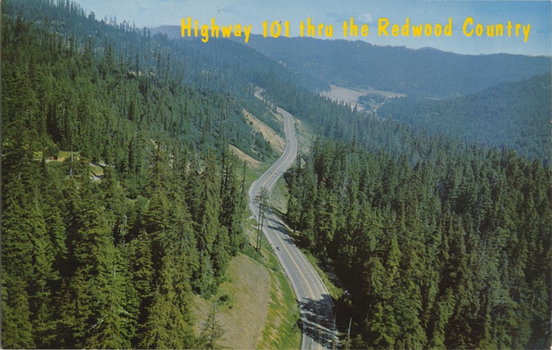 Highway 101 thru the Redwood Country - E.F. Clements - Mike Roberts C18063