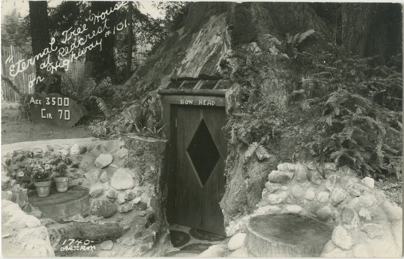 Eternal Redwood at Redcrest