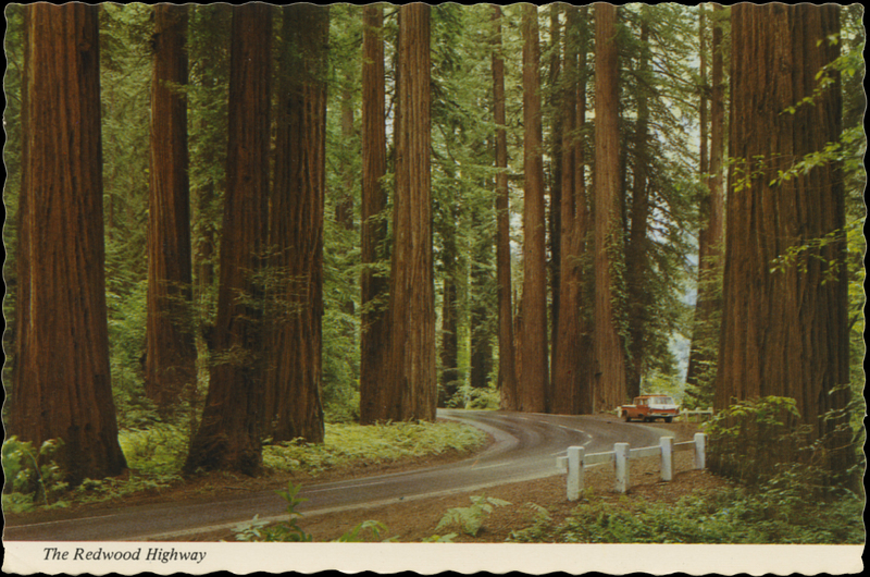THE REDWOOD HIGHWAY - E.F. Clements - Mike Roberts