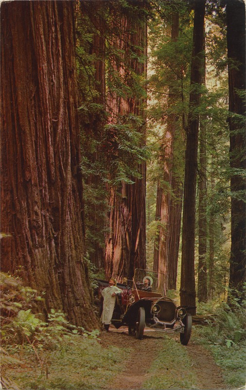 colorized view of early touring auto - E.F. Clements - Mike Roberts