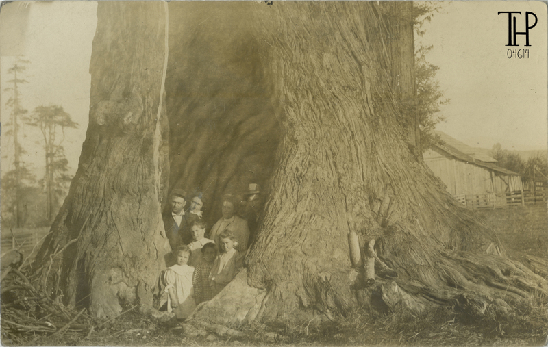 group portrait --within old growth redwood tree fire cavity (goosepen)