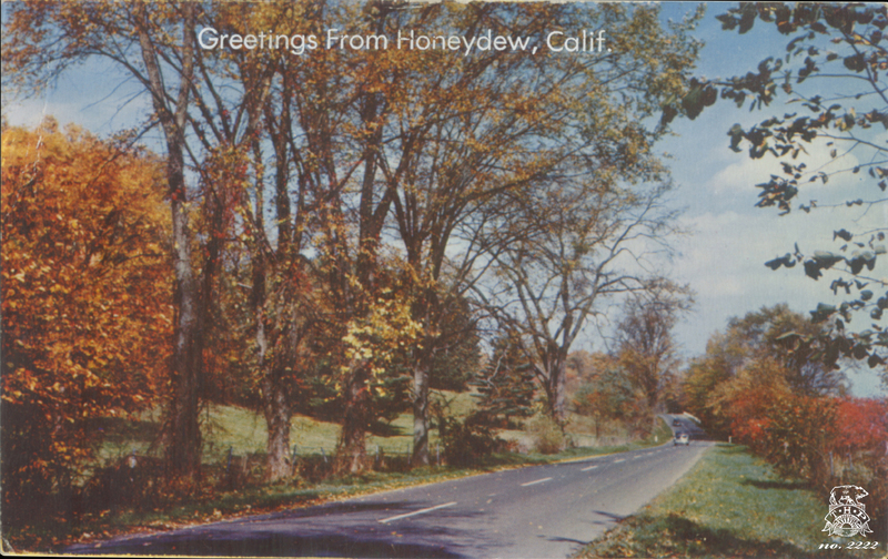 Greetings From Honeydew, Calif.
