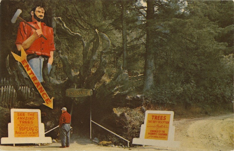 PAUL BUNYAN - Trees of Mystery - SelithCo 701