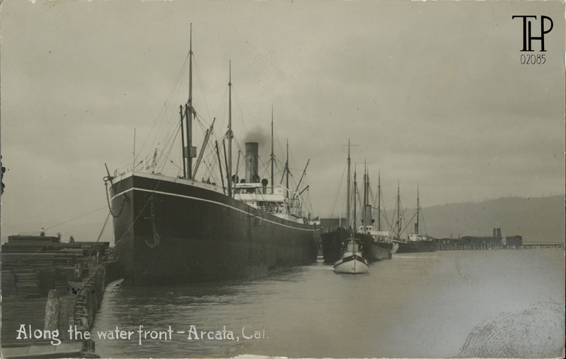 view of boats docked at Arcata wharf