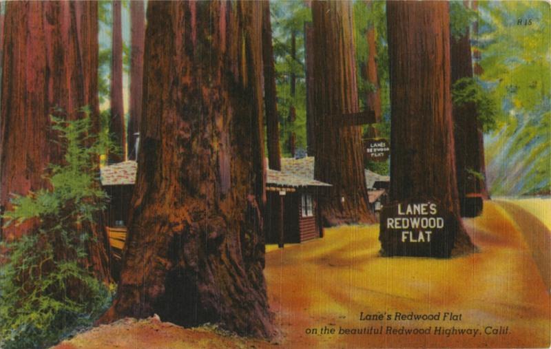 Lane's Redwood Flat on the beautiful Redwood Highway, Calif - Zan 18682