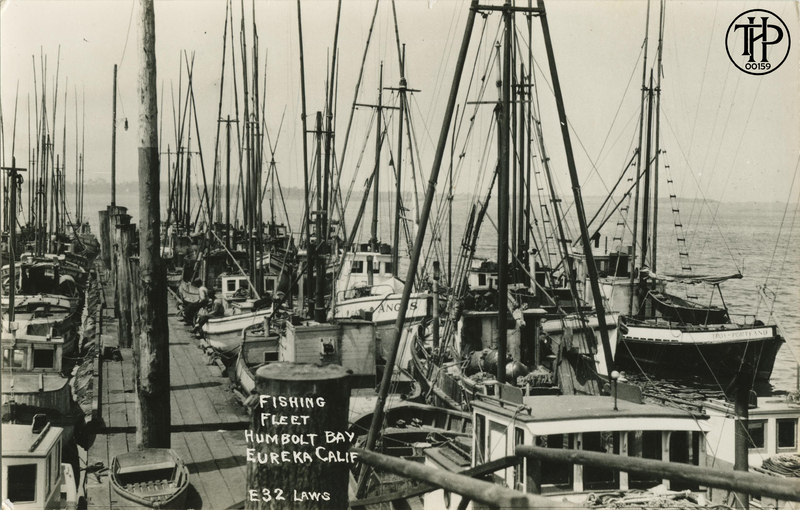 FISHING FLEET - HUMBOLDT BAY. EUREKA, CALIF - E32 LAWS