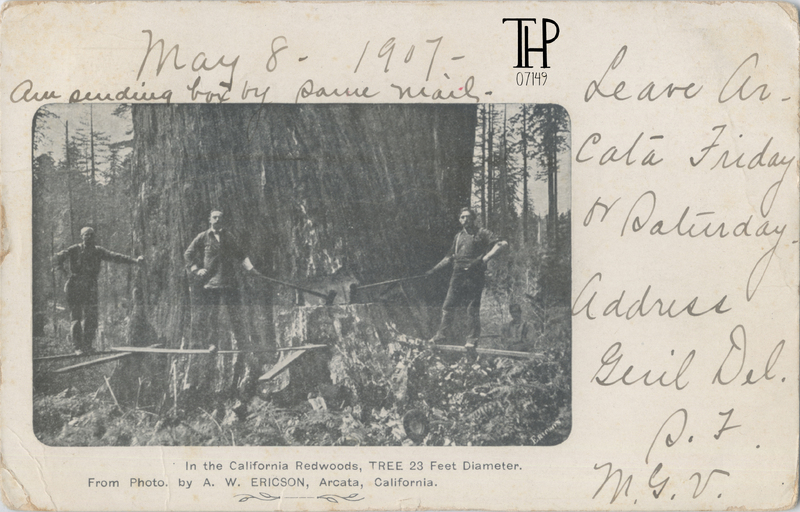 lumberjacks on springboards