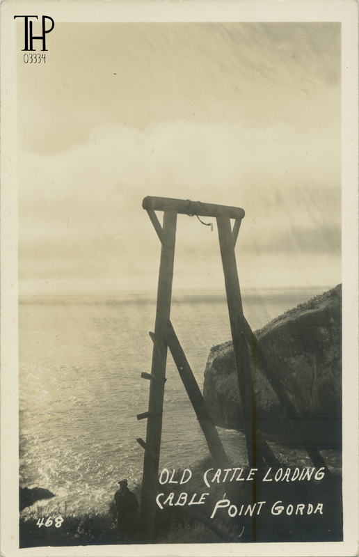 OLD CATTLE LOADING CABLE - Punta Gorda