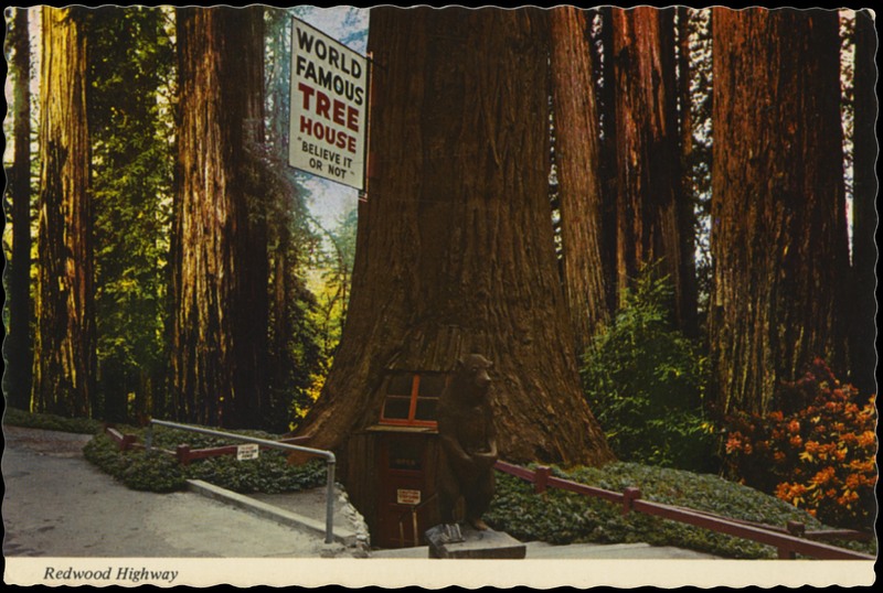 WORLD FAMOUS TREE HOUSE - E.F. Clements - Mike Roberts B423