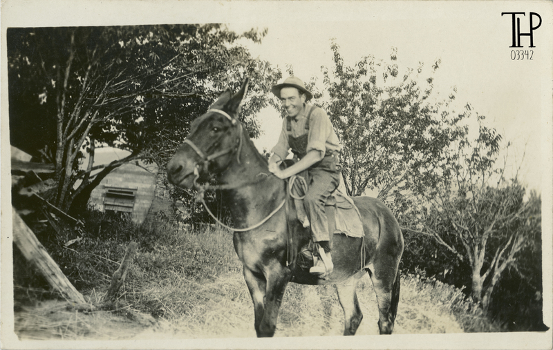 man on horse · mailed to Pedrick from Petrolia 1917