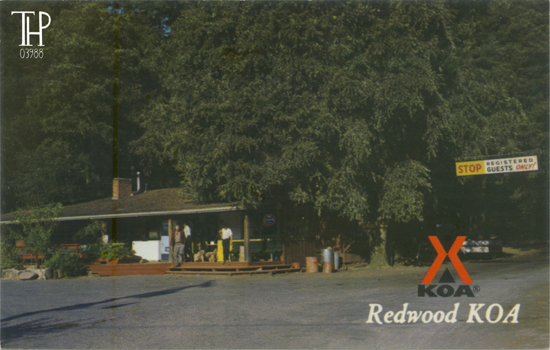 Redwood KOA near Richardson Grove - French's
