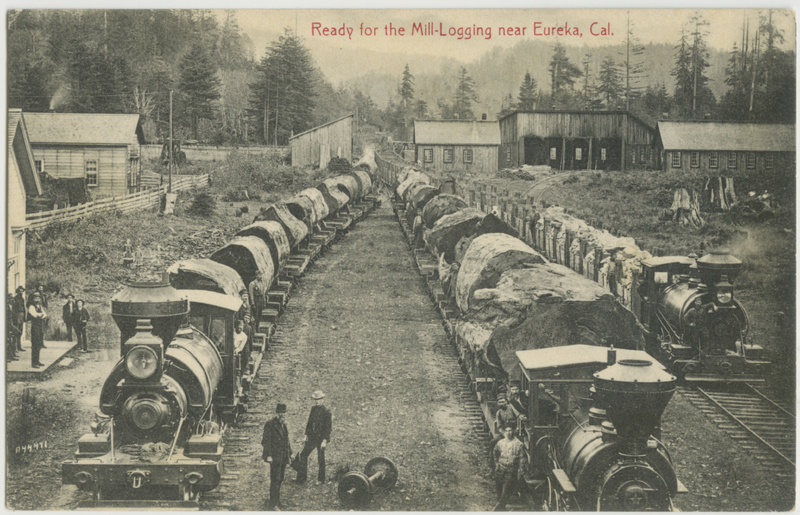 Log Train Near Freshwater