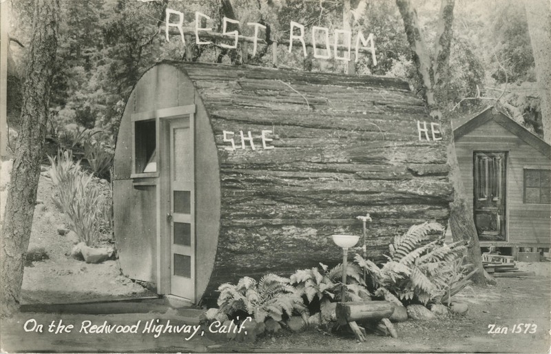 On the Redwood Highway, Calif - Zan