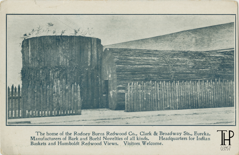 The Stump House