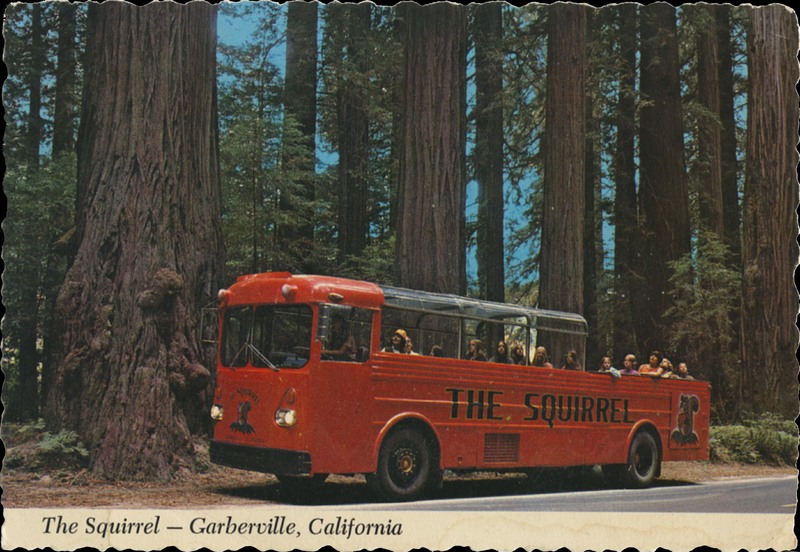 The Squirrel - Garberville, California ©1974 freeman - von normann enterprises