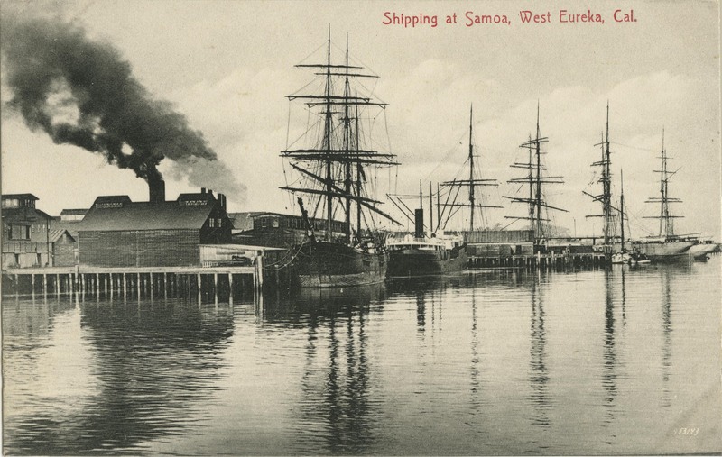 Shipping at Samoa, West Eureka, Cal - C.O. Lincoln & Co