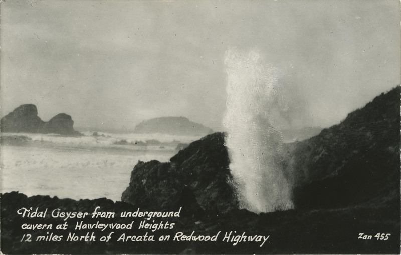 Tidal Geyser from underground cavern at Hawleywood Heights · 12 miles North of Arcata on Redwood Highway