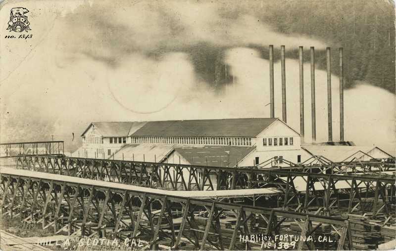 MILL 'A', SCOTIA, CAL - HA Bliler