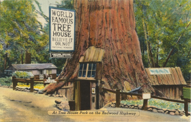 At Tree House Park on the Redwood Highway - Zan