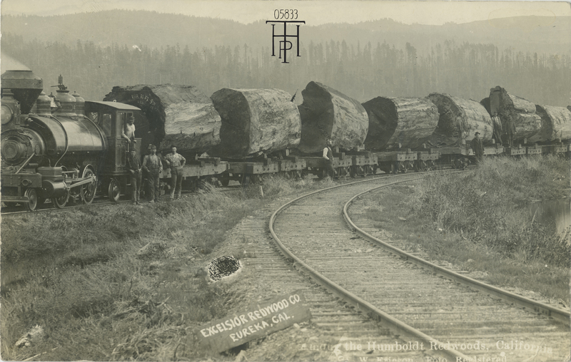 Excelsior Log Train near Freshwater