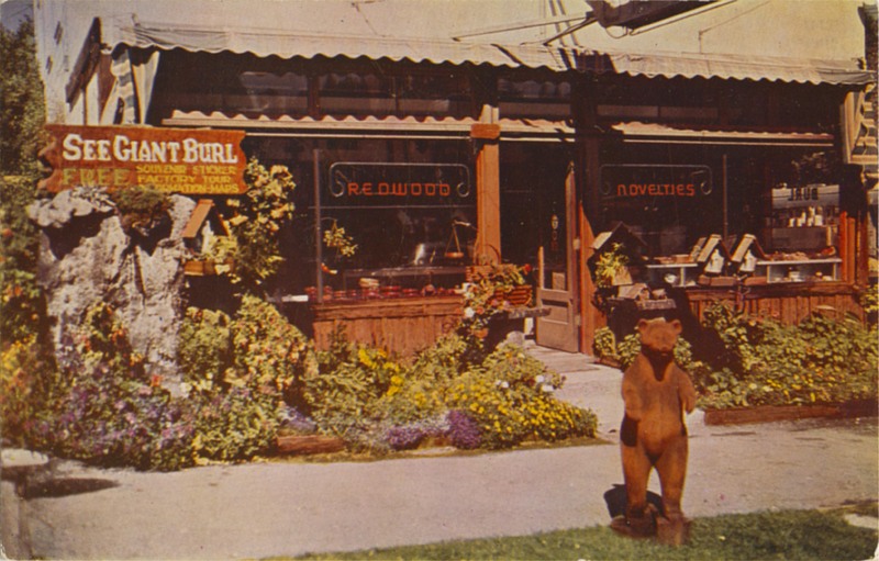 DINNEL'S REDWOOD BURL GIFT FACTORY AND RETAIL STORE, Garberville, Cali SC747