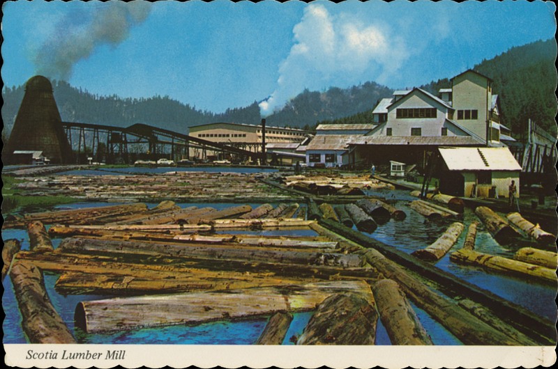 Scotia Lumber Mill - FVN