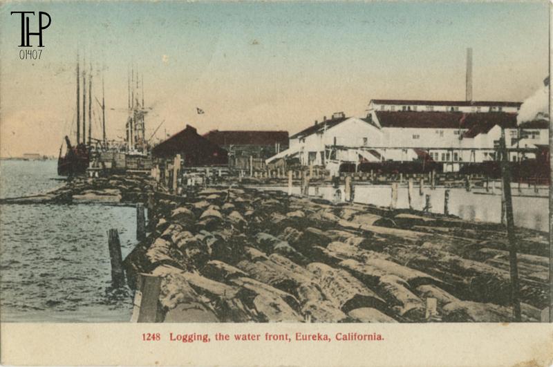 Logging, the water front, Eureka - Freeman Art Co