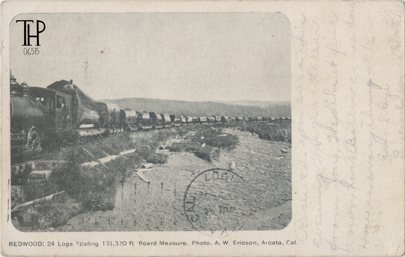 Excelsior Lumber Co. log train leaving Freshwater valley - Ericson photo