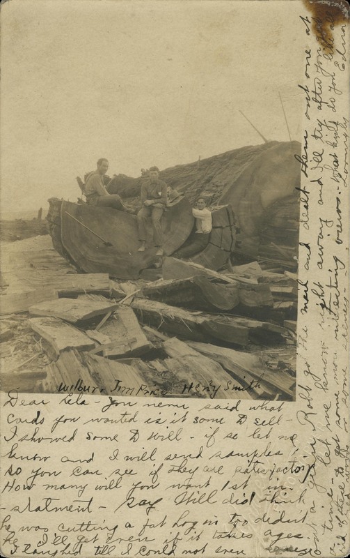 split log - Grizzly Bluff postmark