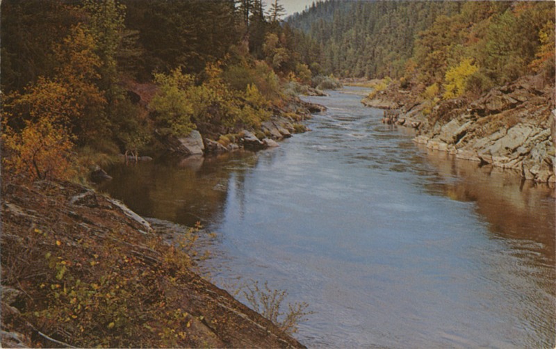 Along the Klamath River in Northern California - S-762 44599