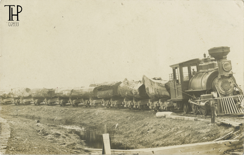 Log Train Near Eureka