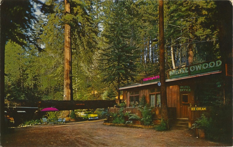 Meadowood Resort - Phillipsville, Calif - Home of the famous 'Drive Under Tree'' - E.F. Clements - Mike Roberts SC4436