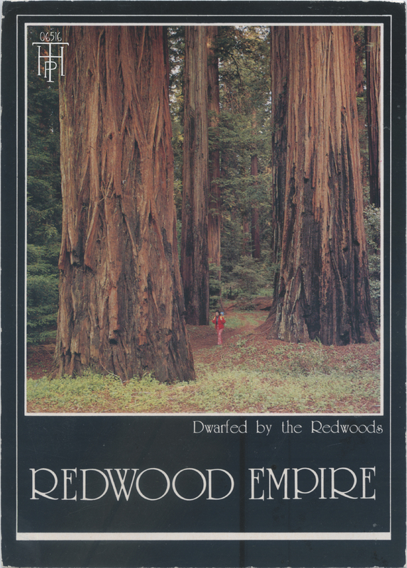 woman hiking through Redwood Grove - photo by Ed Cooper