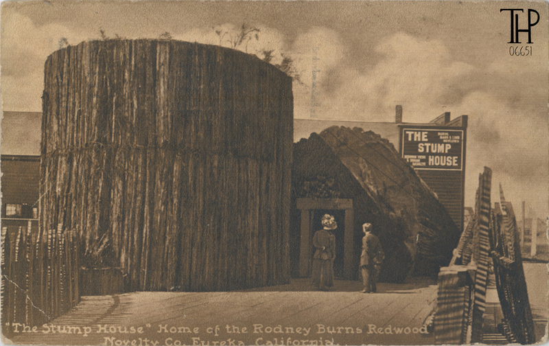 The Stump House in Eureka