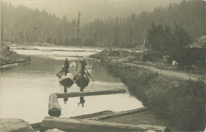 Men On Log In Pond - Scotia