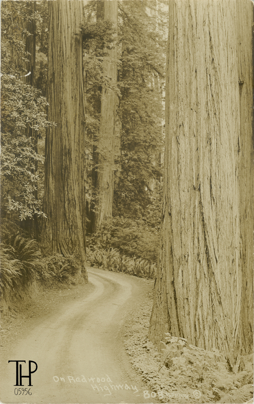 Redwood Highway