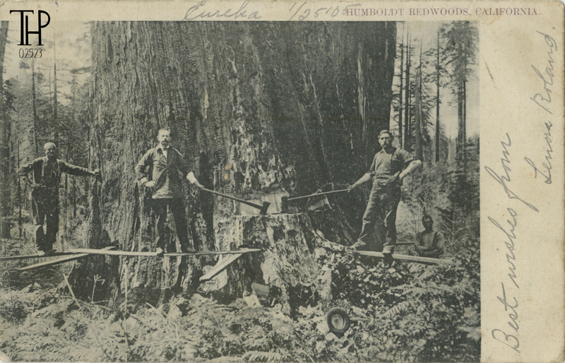 lumberjacks on springboards