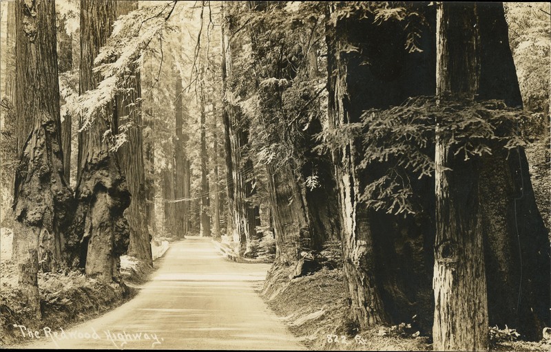 The Redwood Highway - Frank Patterson