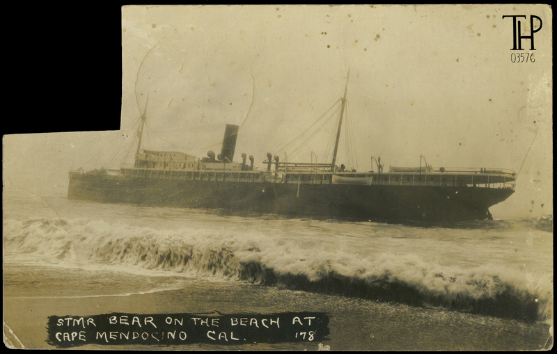 Steamer Bear on the Beach near Cape Mendocino