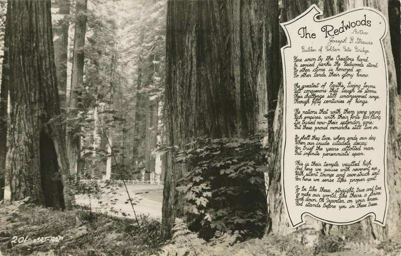The Redwoods - Author Joseph B Strauss - Builder of Golden Gate Bridge - 201-ART-RAY