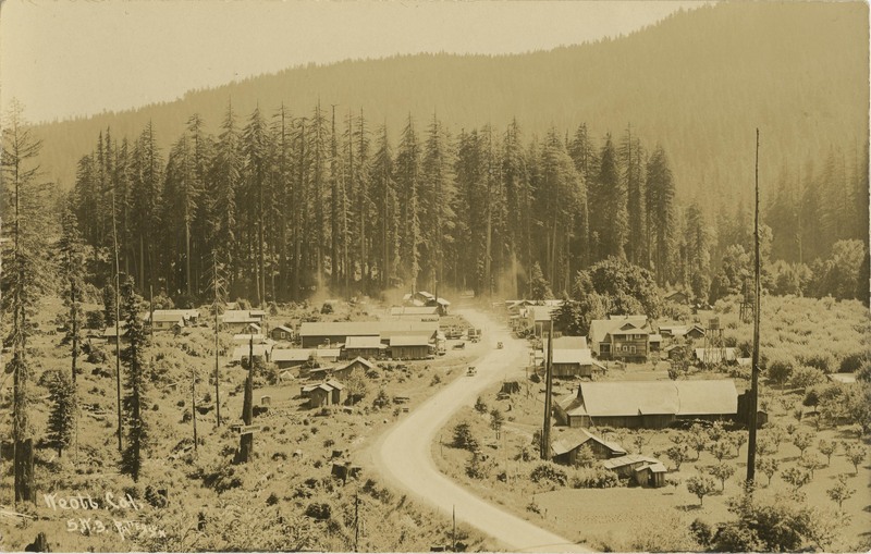 Weott - Frank Patterson